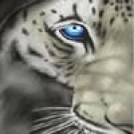 Tiger_an_albino
